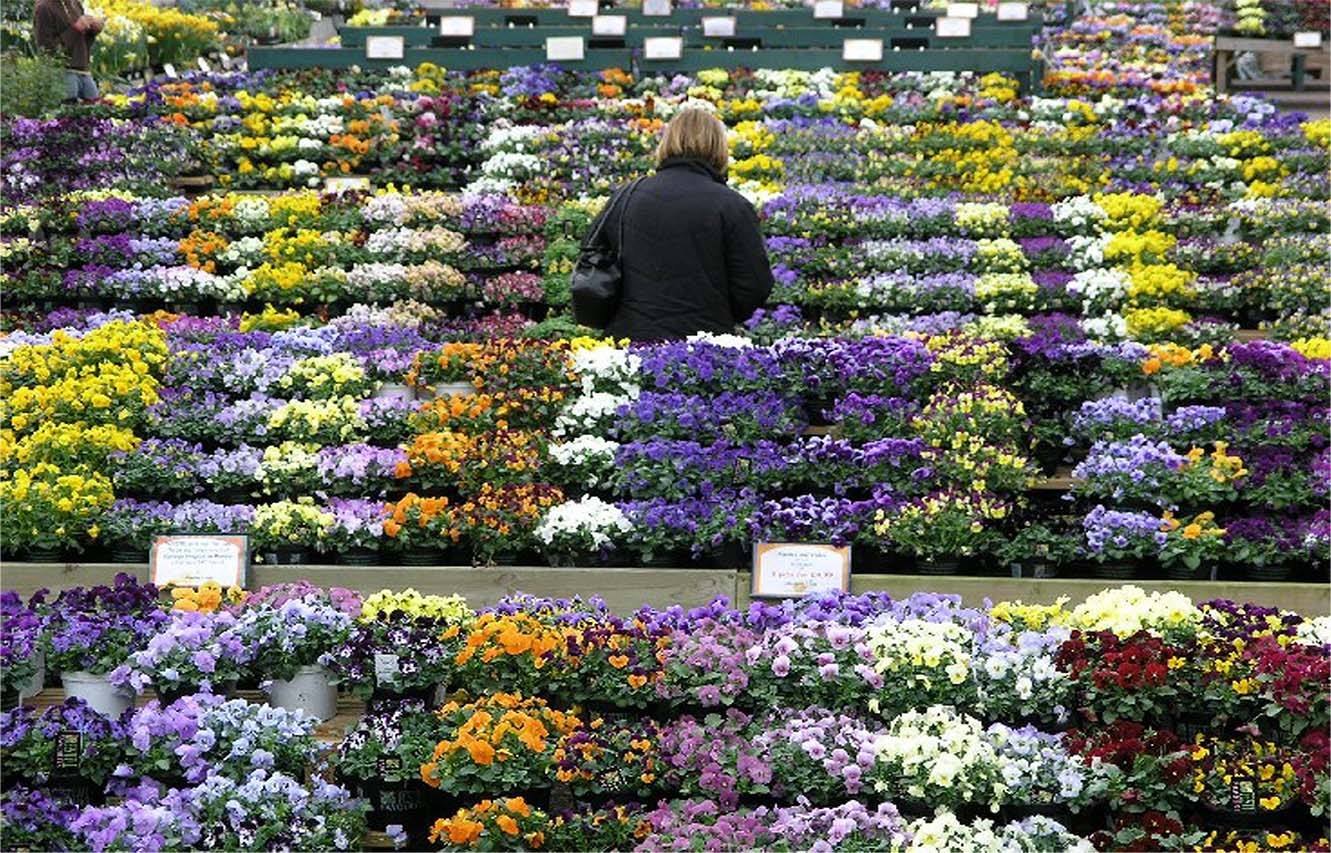 meadow croft care home thame